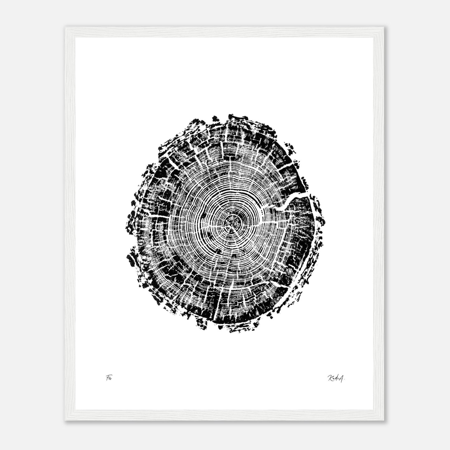 Print #4F - Fir - with Frame