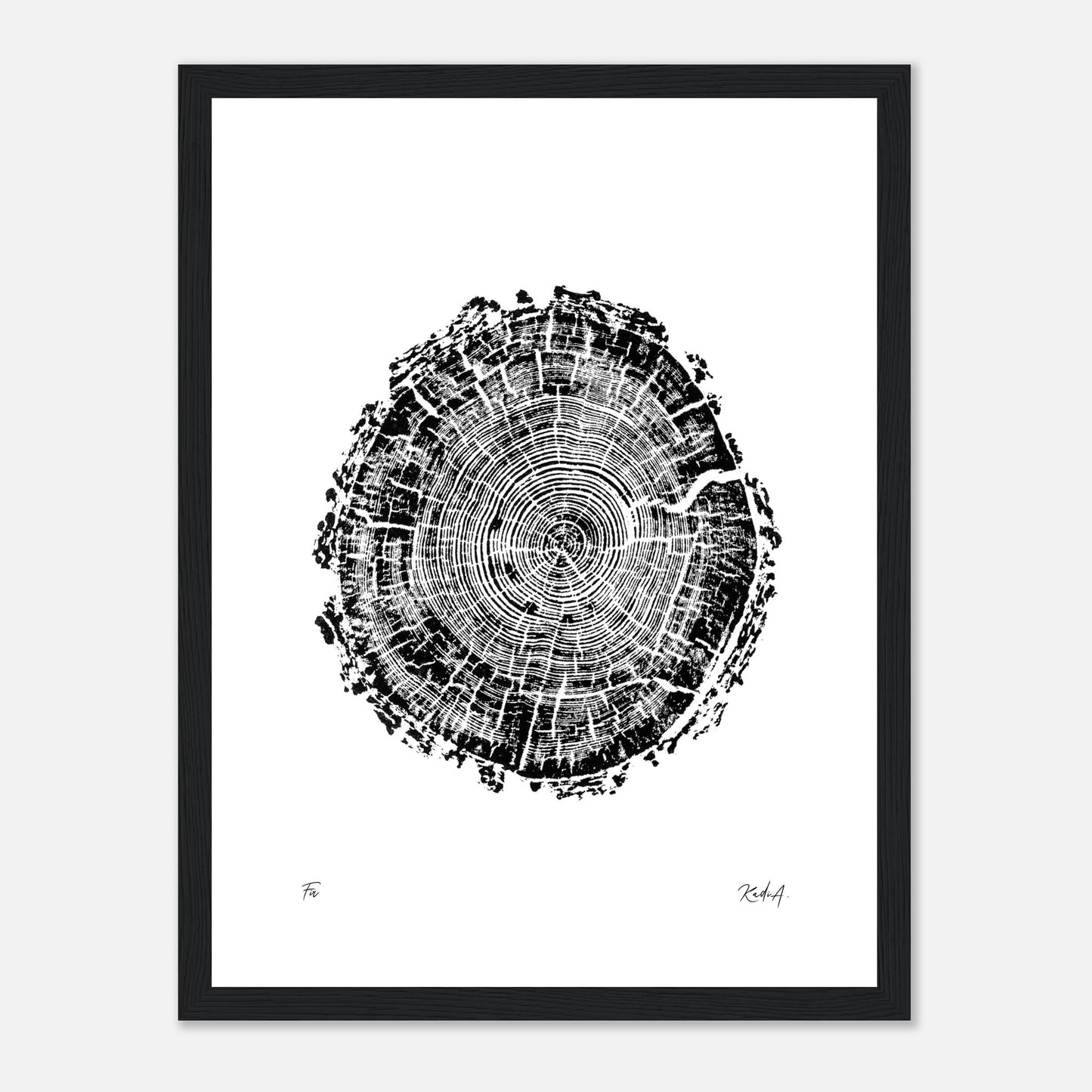 Print #4F - Fir - with Frame