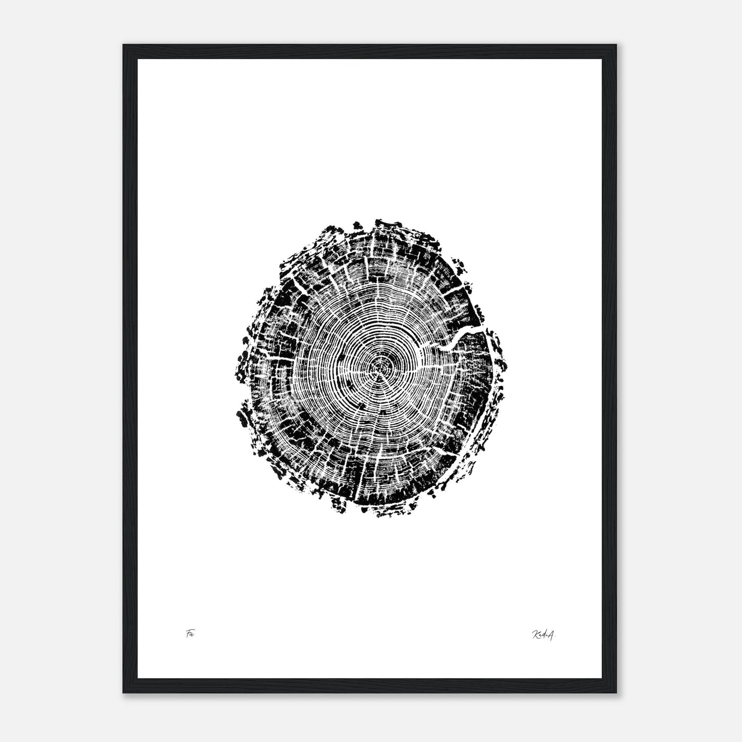 Print #4F - Fir - with Frame