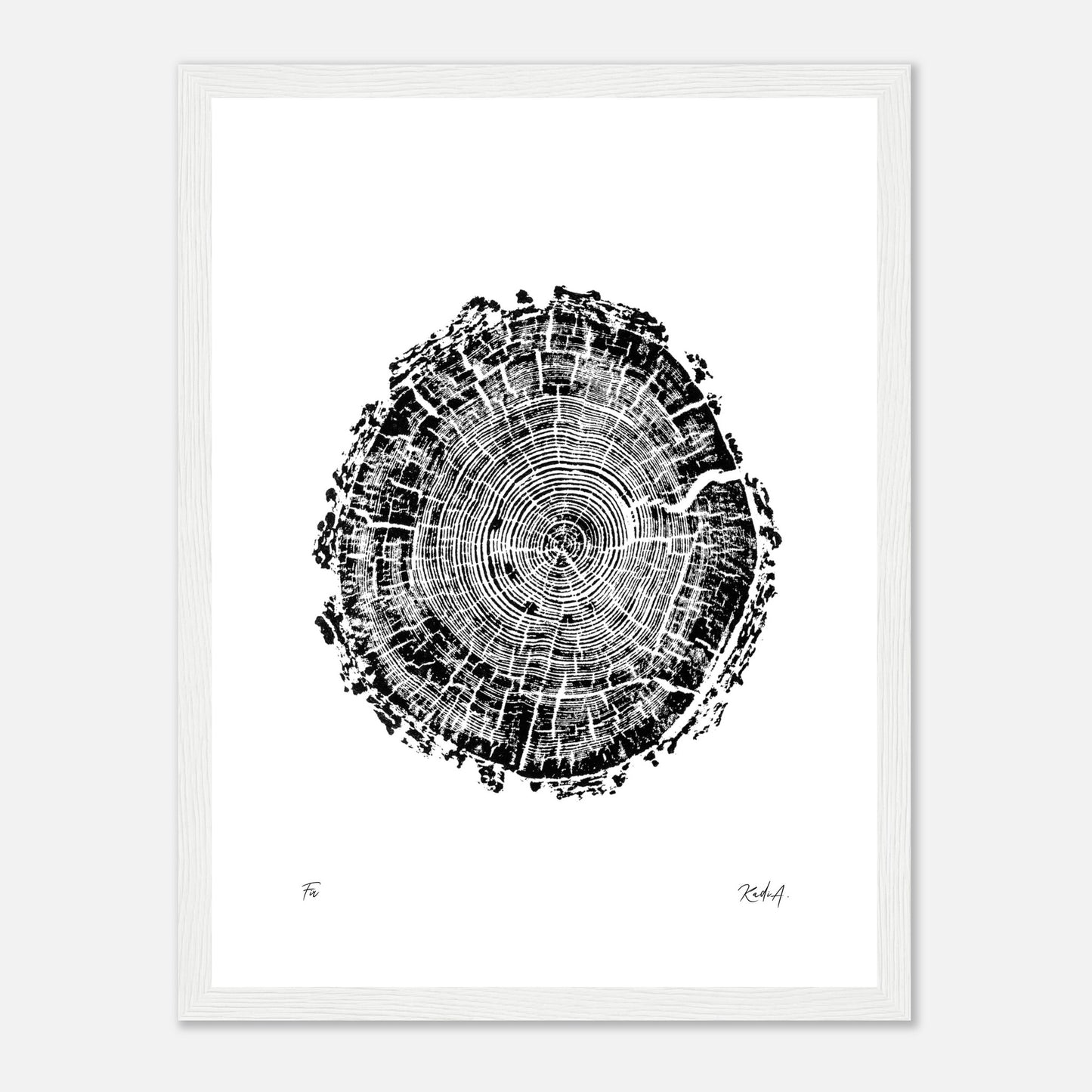 Print #4F - Fir - with Frame