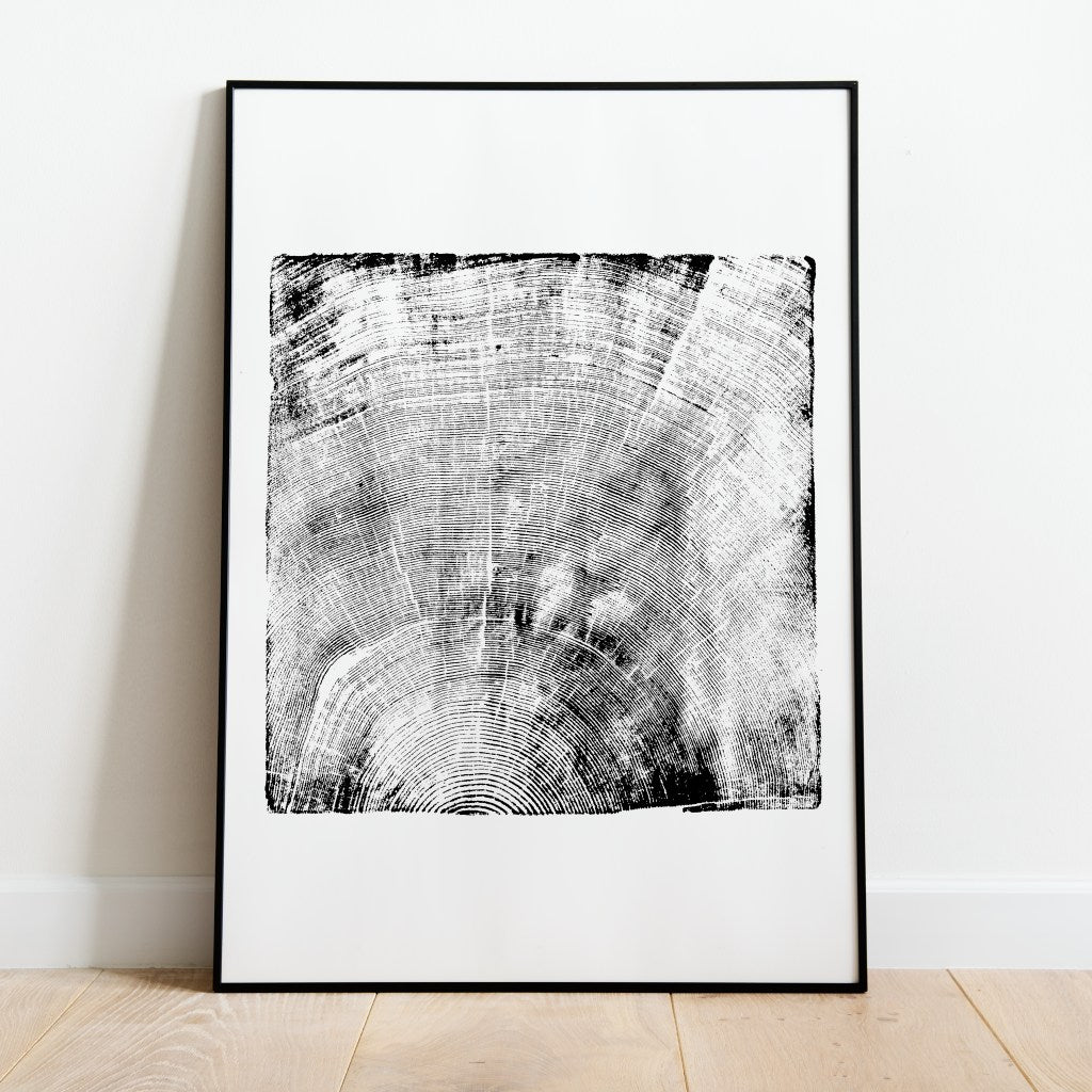 Print #18F - 250 yr old Fir - with Frame