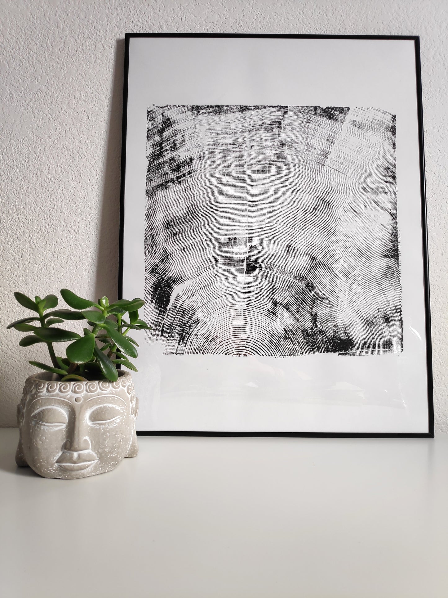 Print #18F - 250 yr old Fir - with Frame