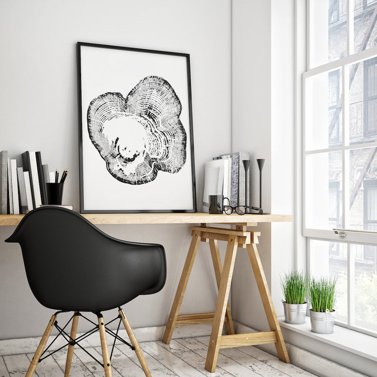 Framed Tree Ring Prints