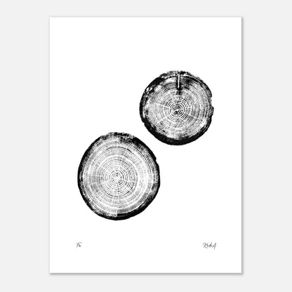 Print #28 - Fir