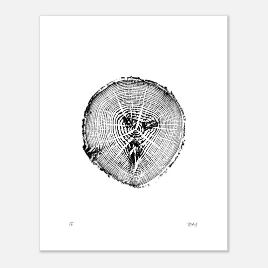 Print #8 - Fir