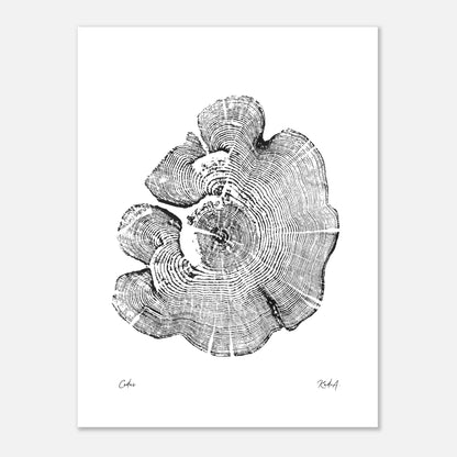 Print #1 - Cedar