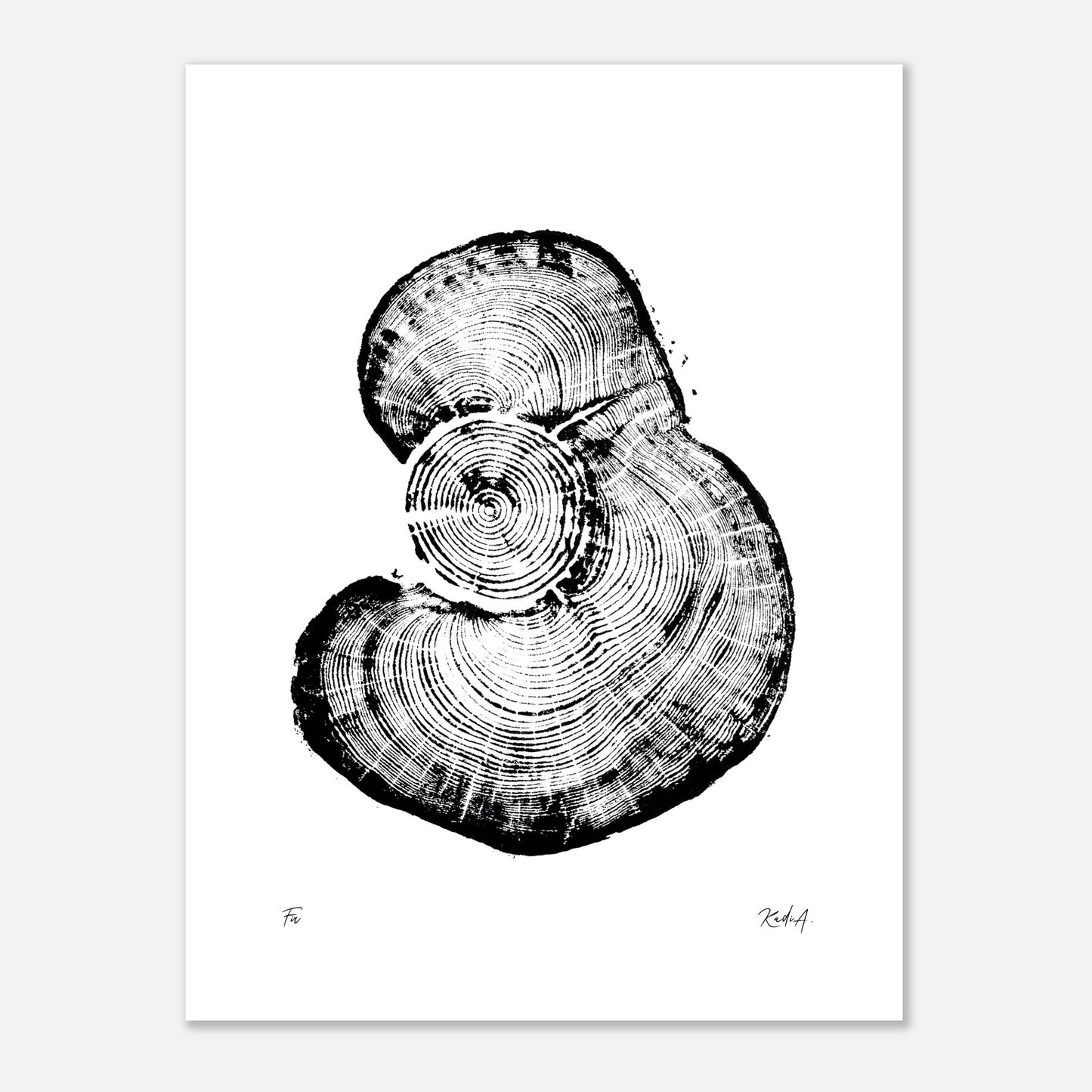 Print #25 - Fir