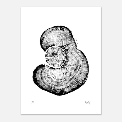 Print #25 - Fir