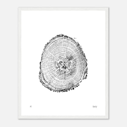 Print #2F - Fir - with Frame