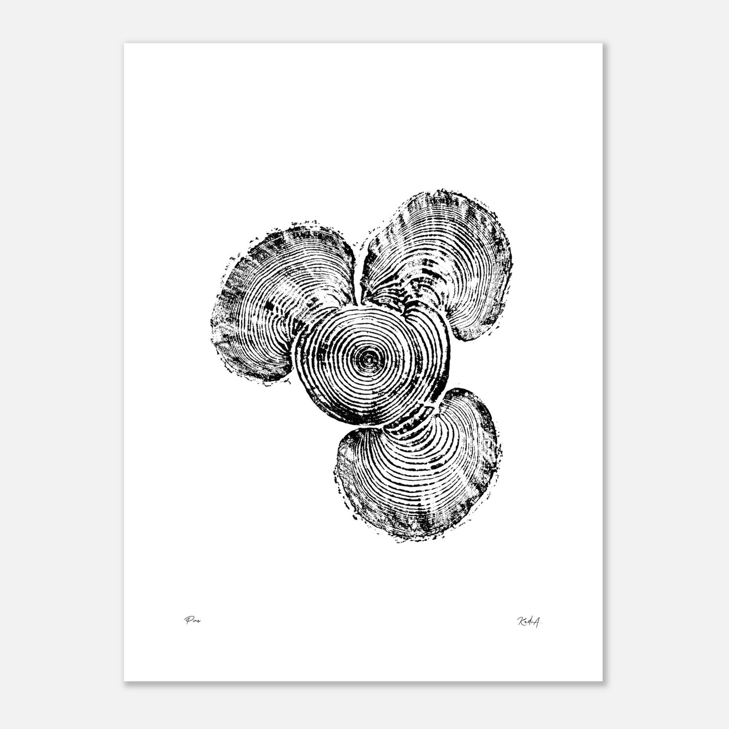 Print #3 - Pine