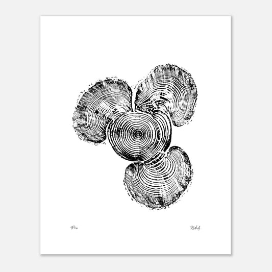 Print #3 - Pine