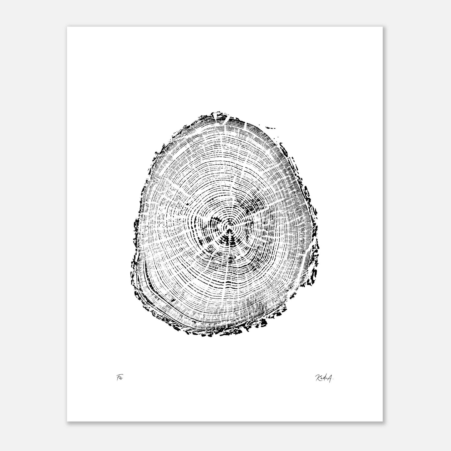 Print #2 - Fir