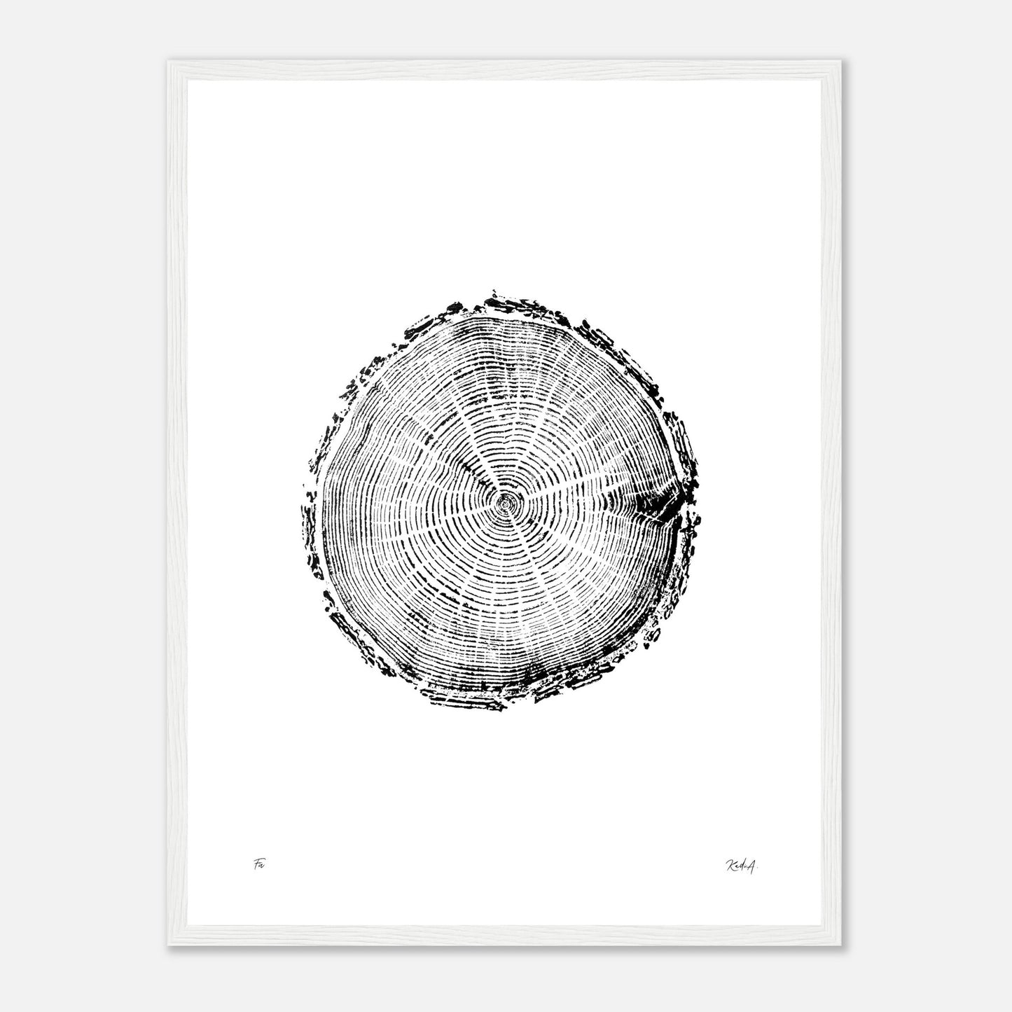 Print #5F - Fir - with Frame