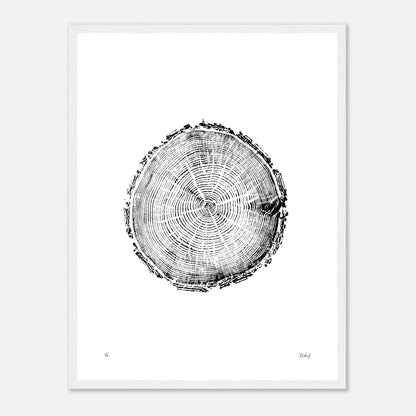 Print #5F - Fir - with Frame