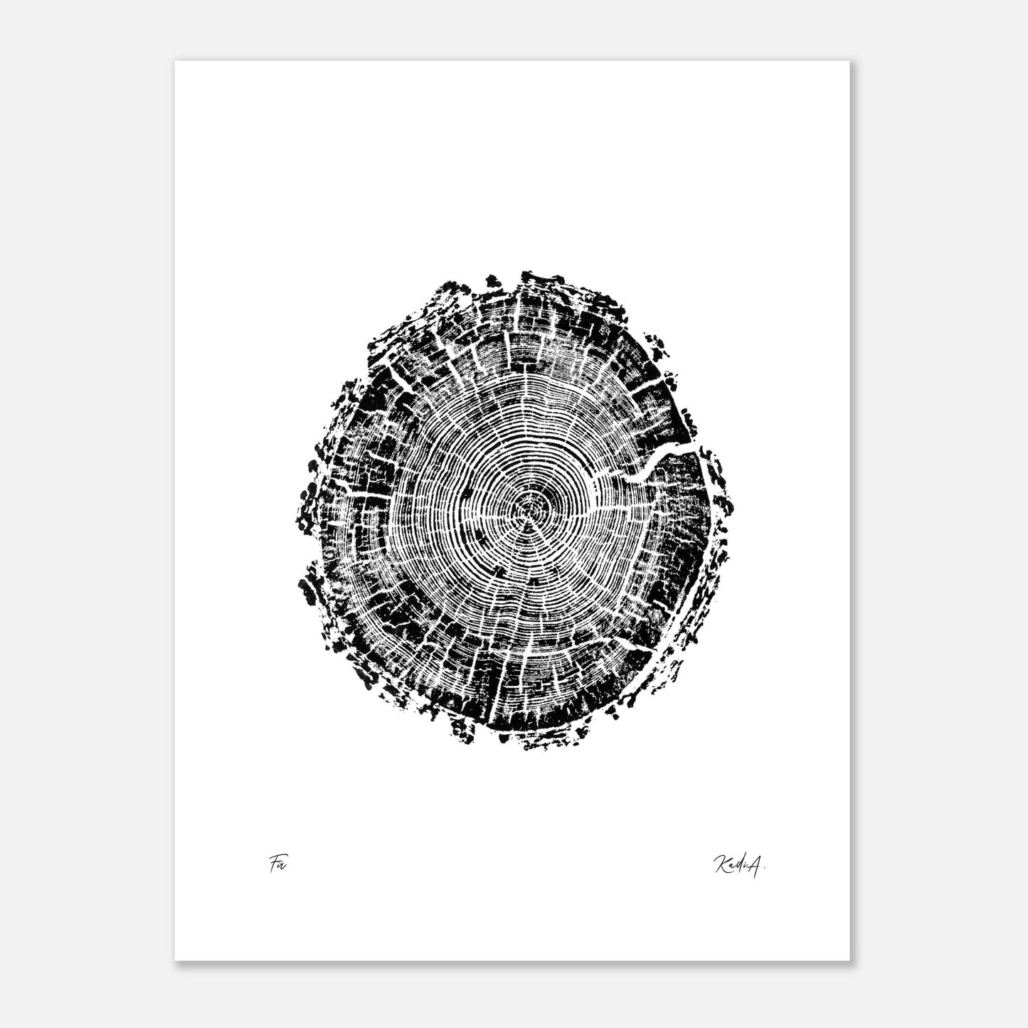 Print #4 - Fir