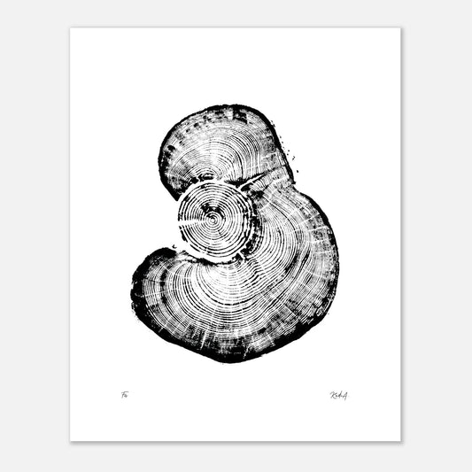 Print #25 - Fir