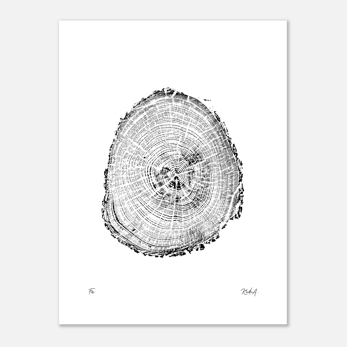 Print #2 - Fir