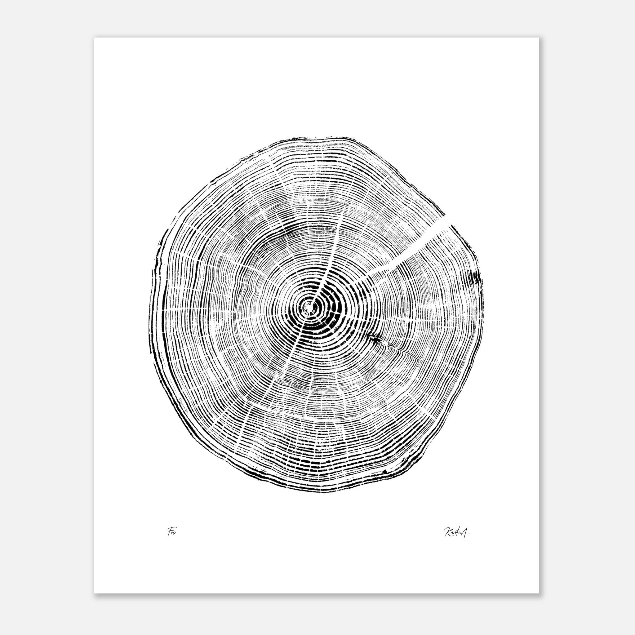 Tree Ring Prints - Tree Ring Prints