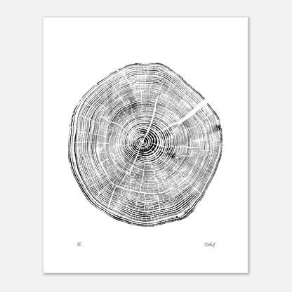 Print #29 - Fir