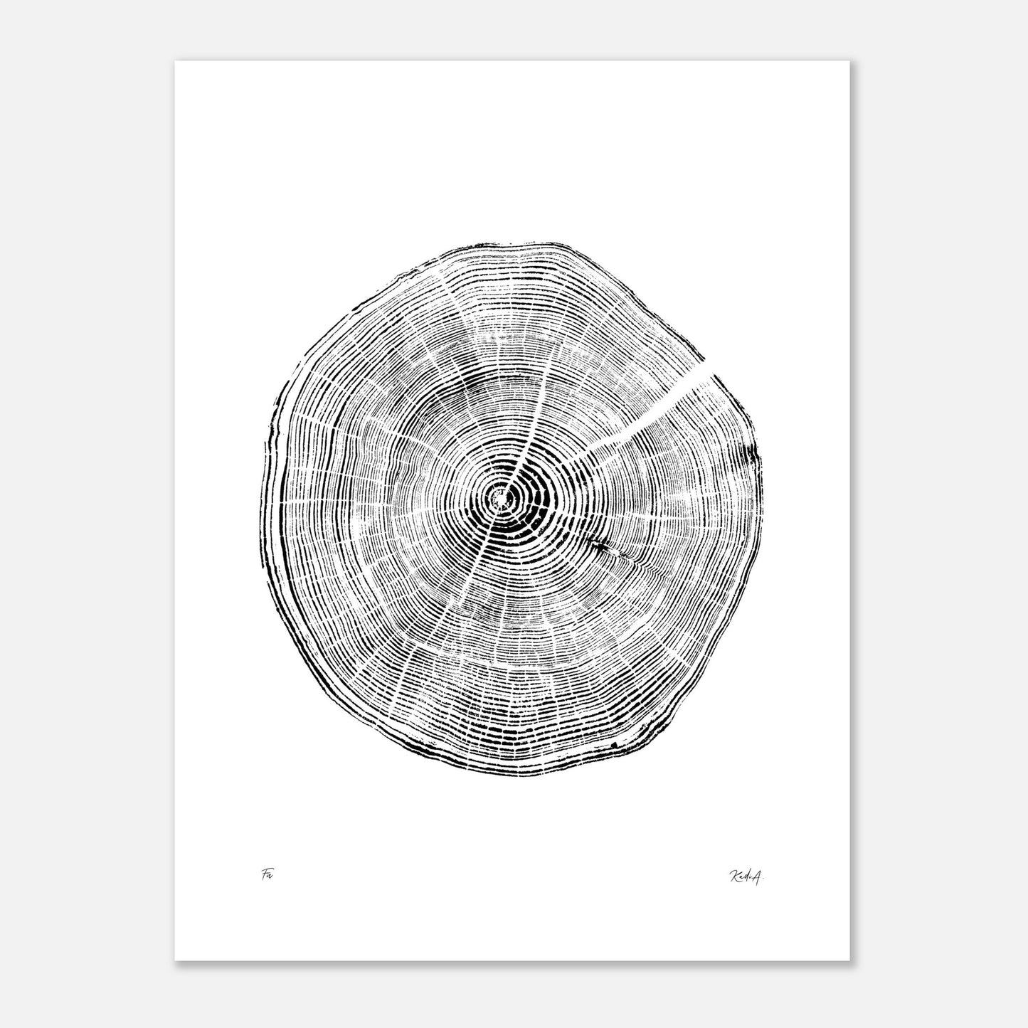 Print #29 - Fir