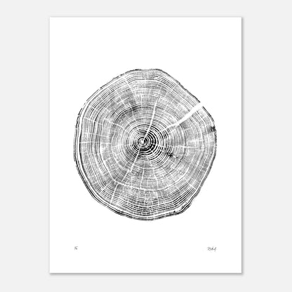 Print #29 - Fir