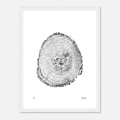 Print #2F - Fir - with Frame