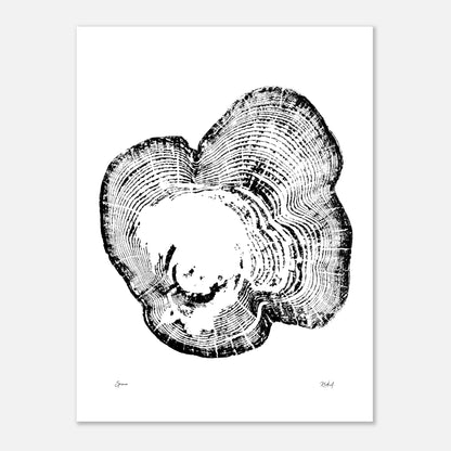 Print #12 - Spruce