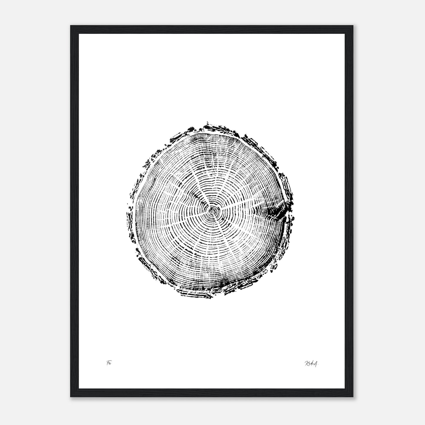 Print #5F - Fir - with Frame