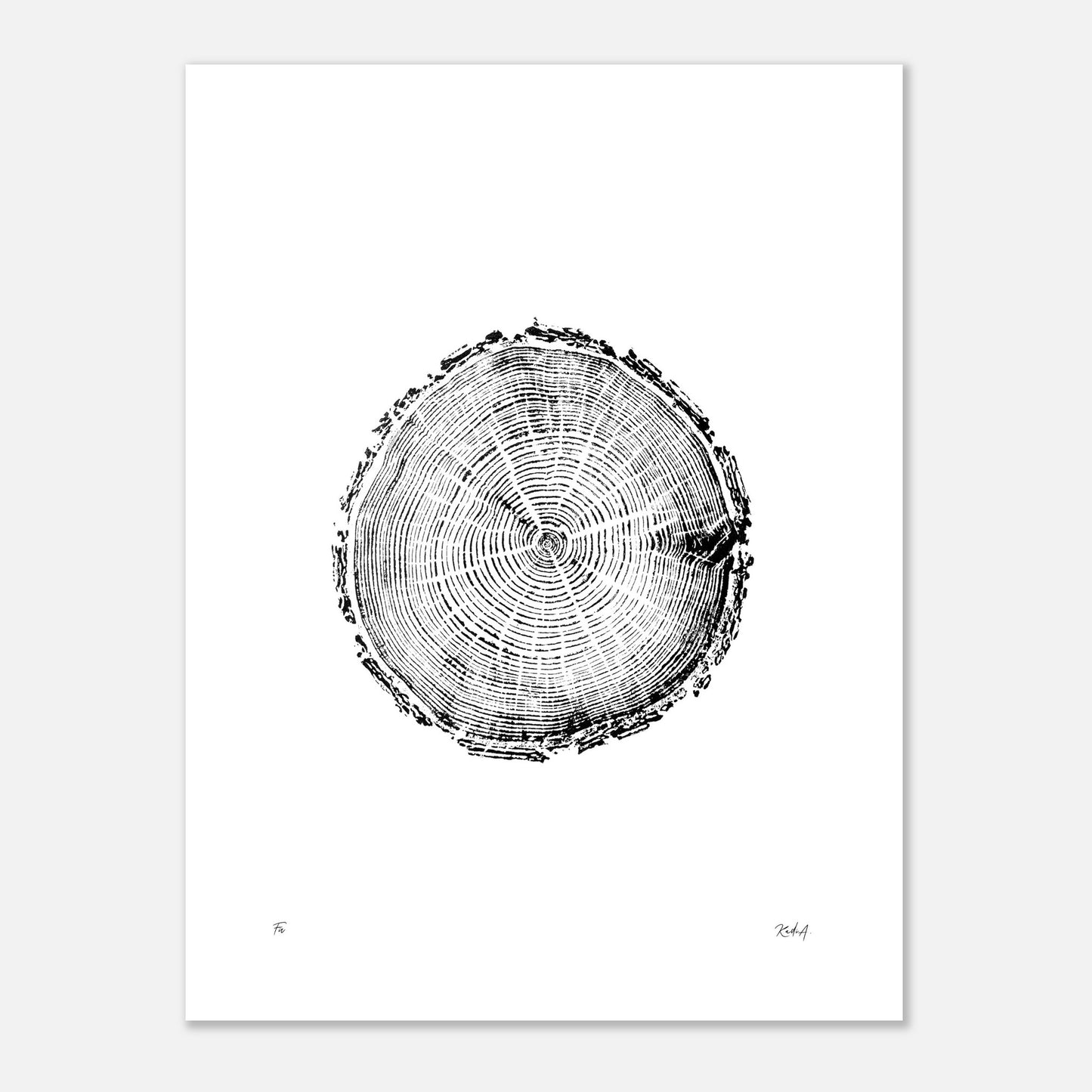 Print #5 - Fir