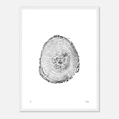 Print #2F - Fir - with Frame