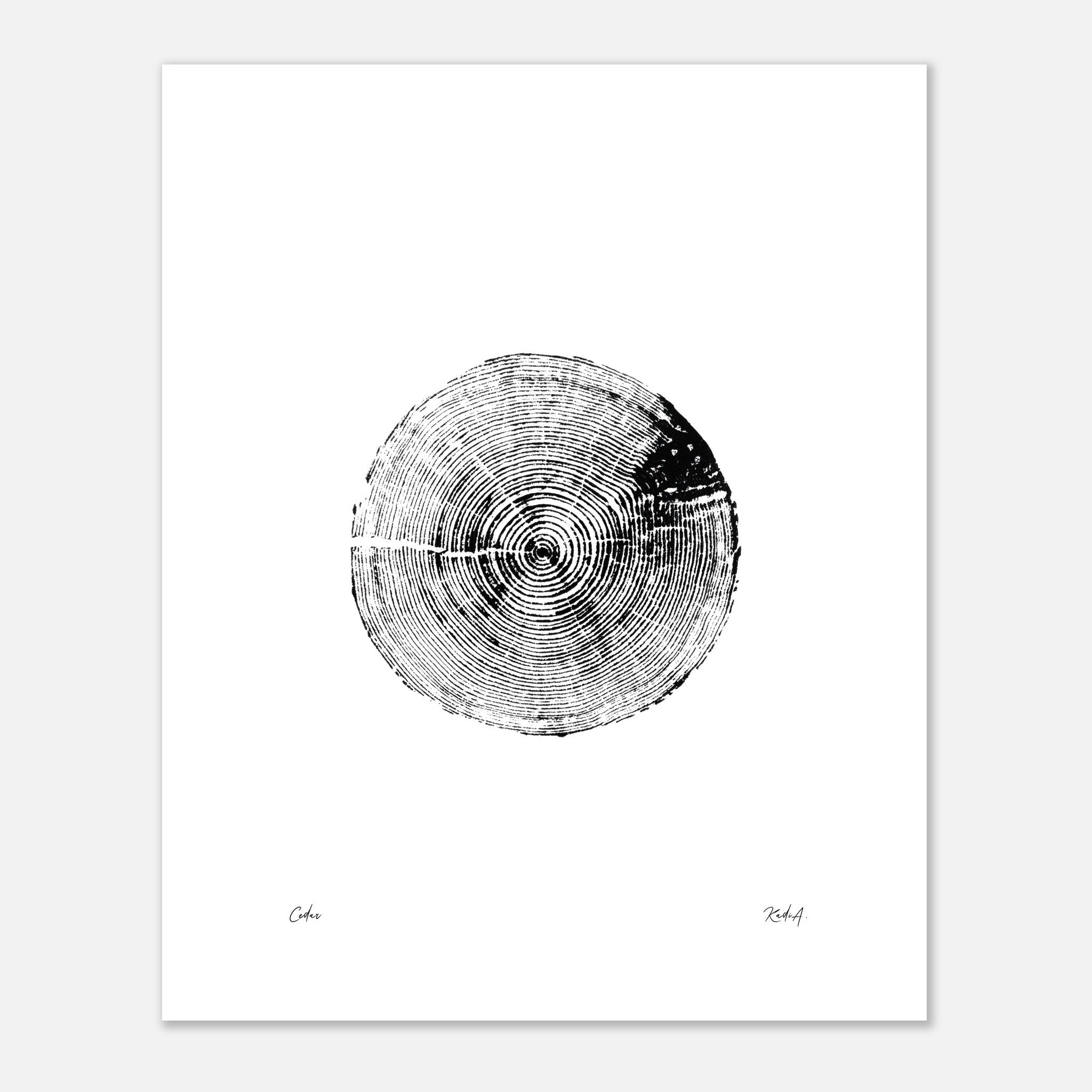 Tree Ring Prints - Tree Ring Prints