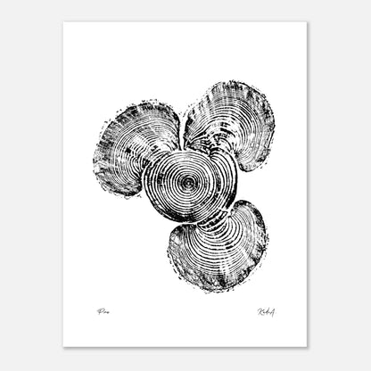 Print #3 - Pine