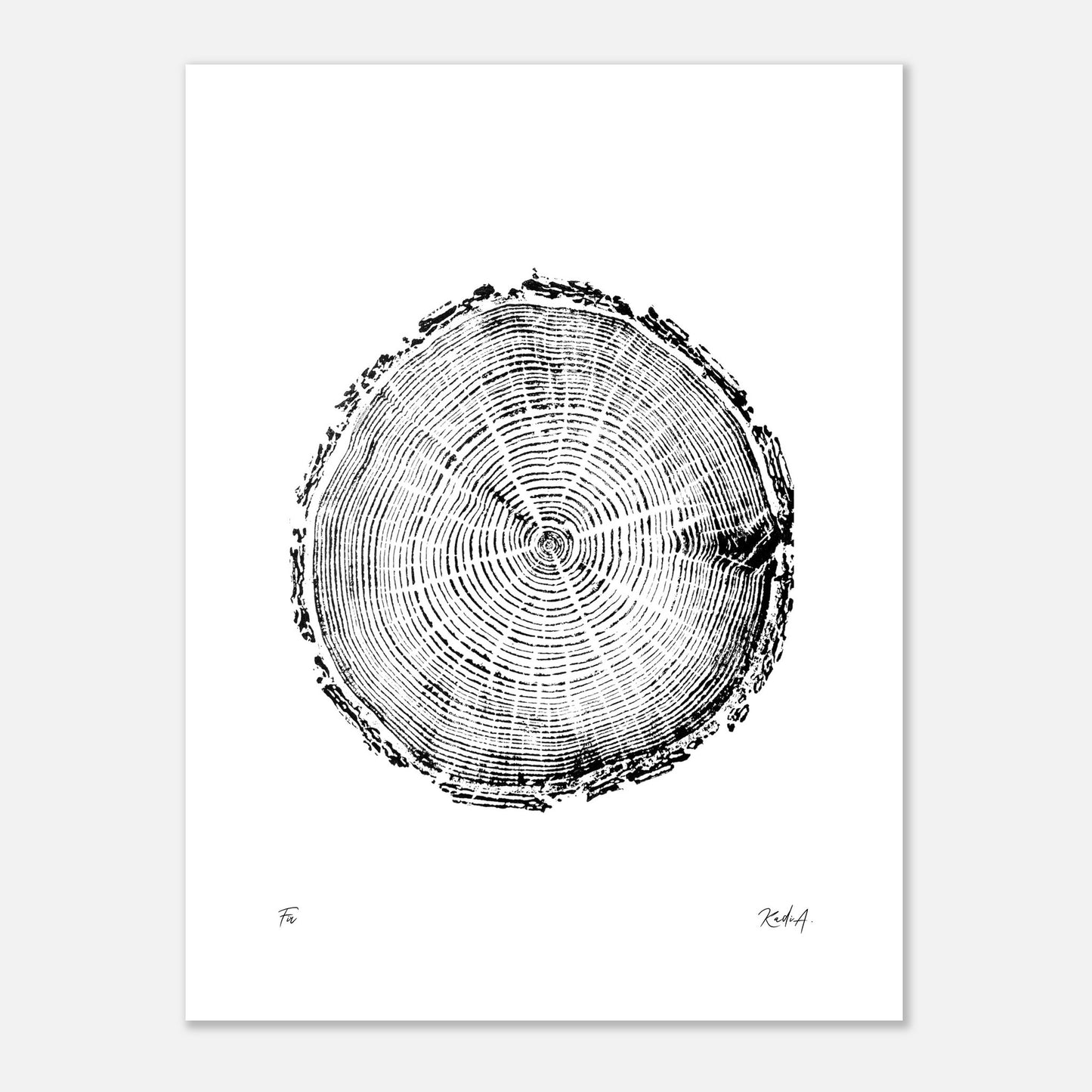 Print #5 - Fir