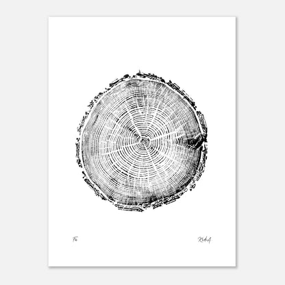 Print #5 - Fir