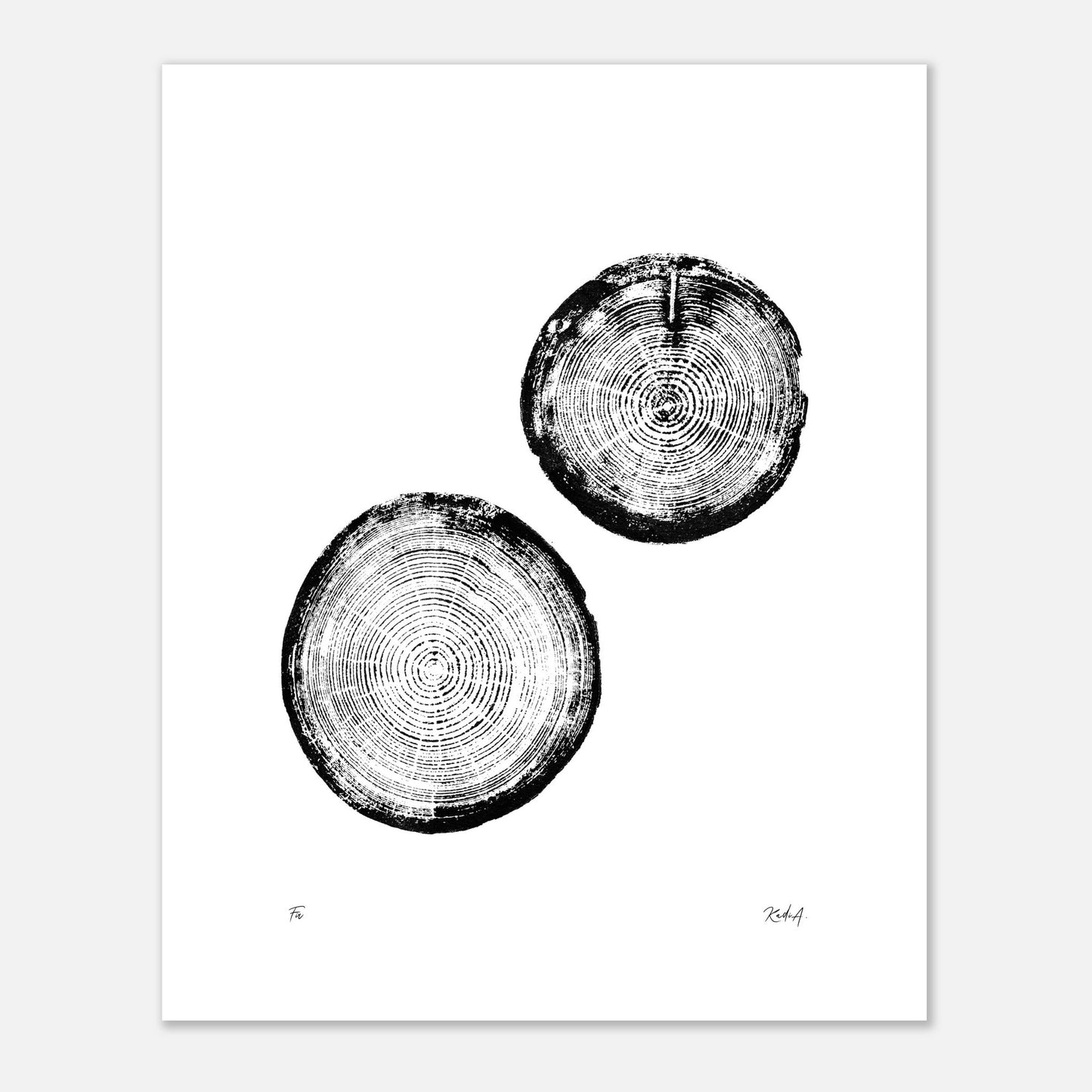 Print #28 - Fir