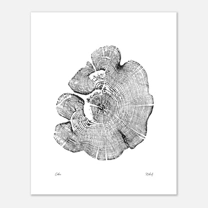 Print #1 - Cedar