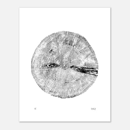 Print #13 - Fir