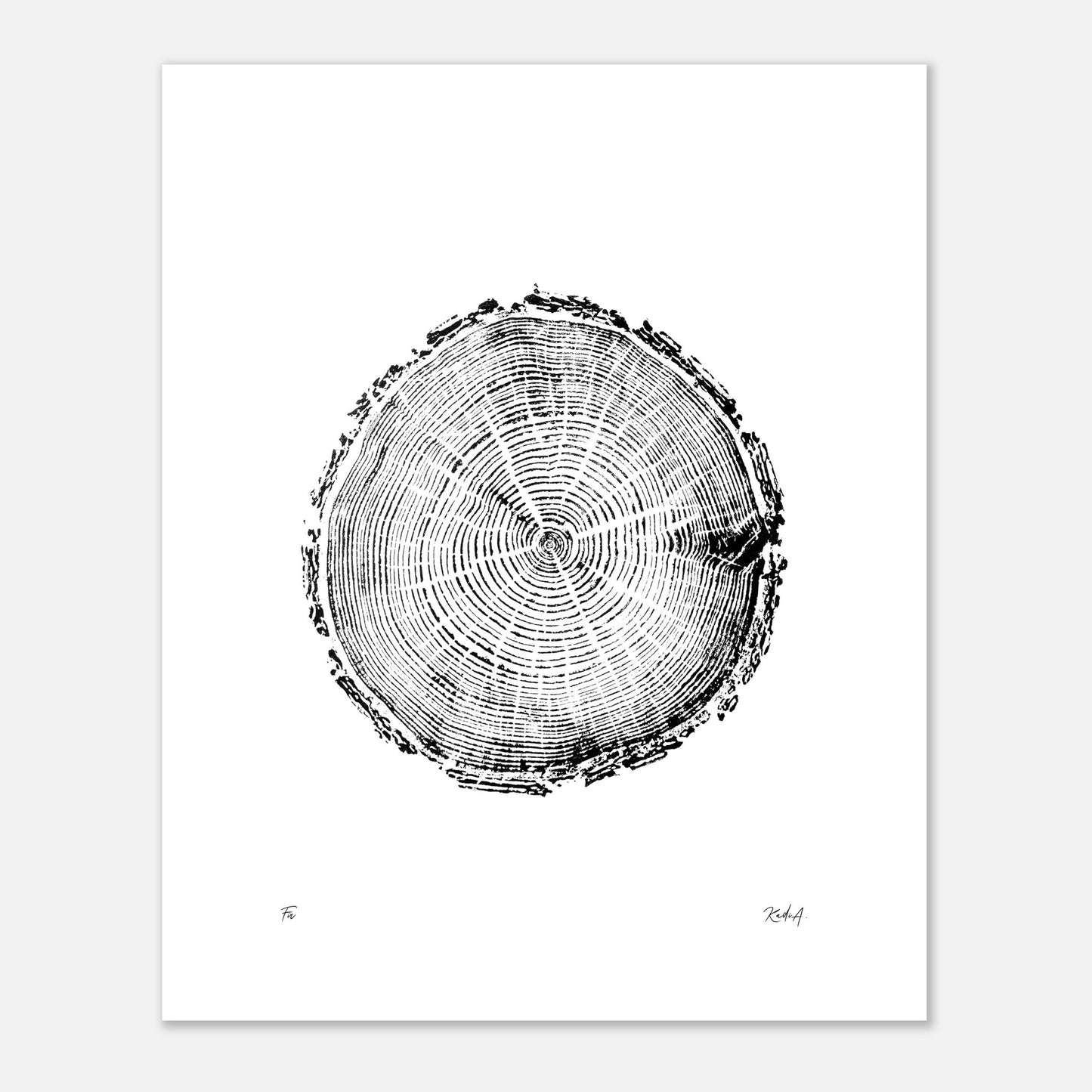 Print #5 - Fir