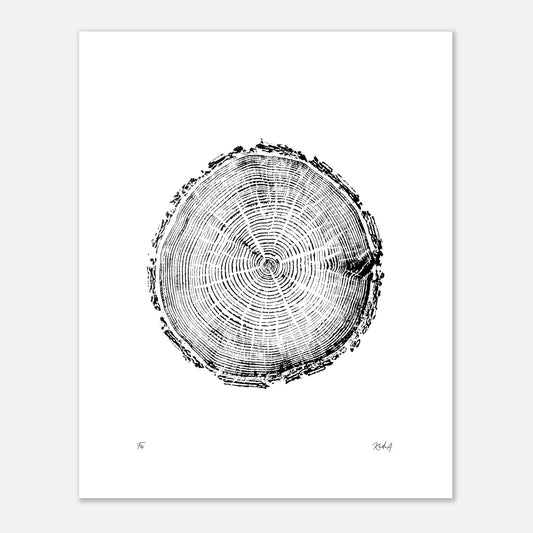 Print #5 - Fir